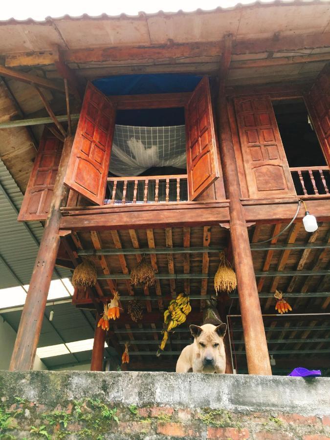 Shan Tea Homestay Ha Giang Exteriör bild